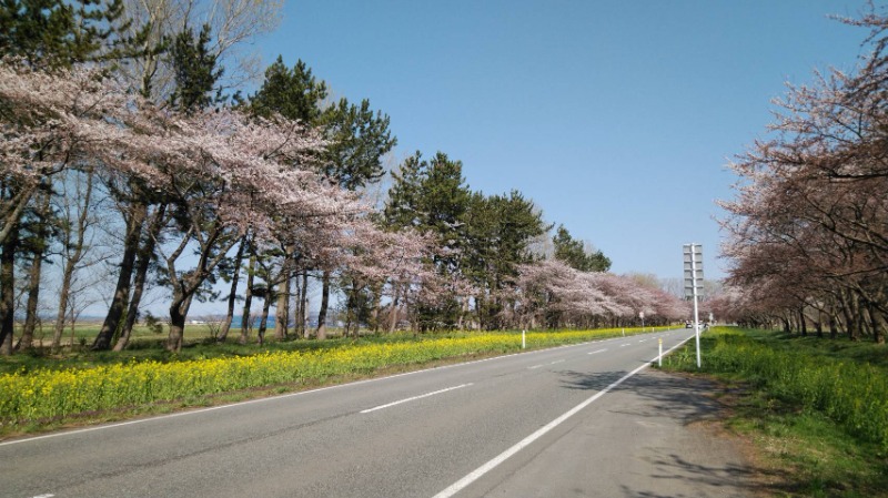 サ道千秋流家元さんのユーランドホテル八橋のサ活写真