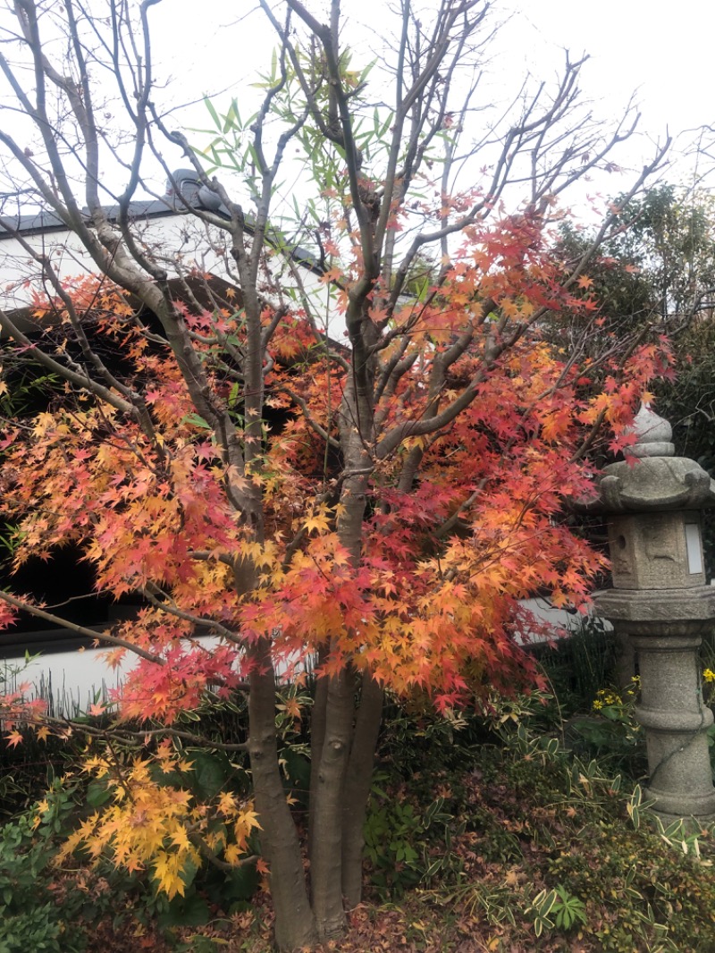 オジサンヌさんの多摩境天然温泉 森乃彩のサ活写真