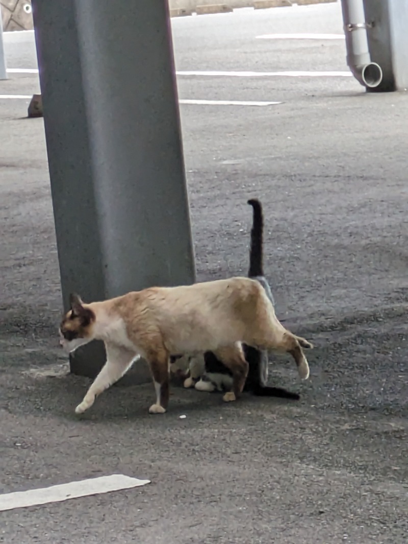 marbleサウナ好き😊さんの天然温泉おとぎの杜のサ活写真