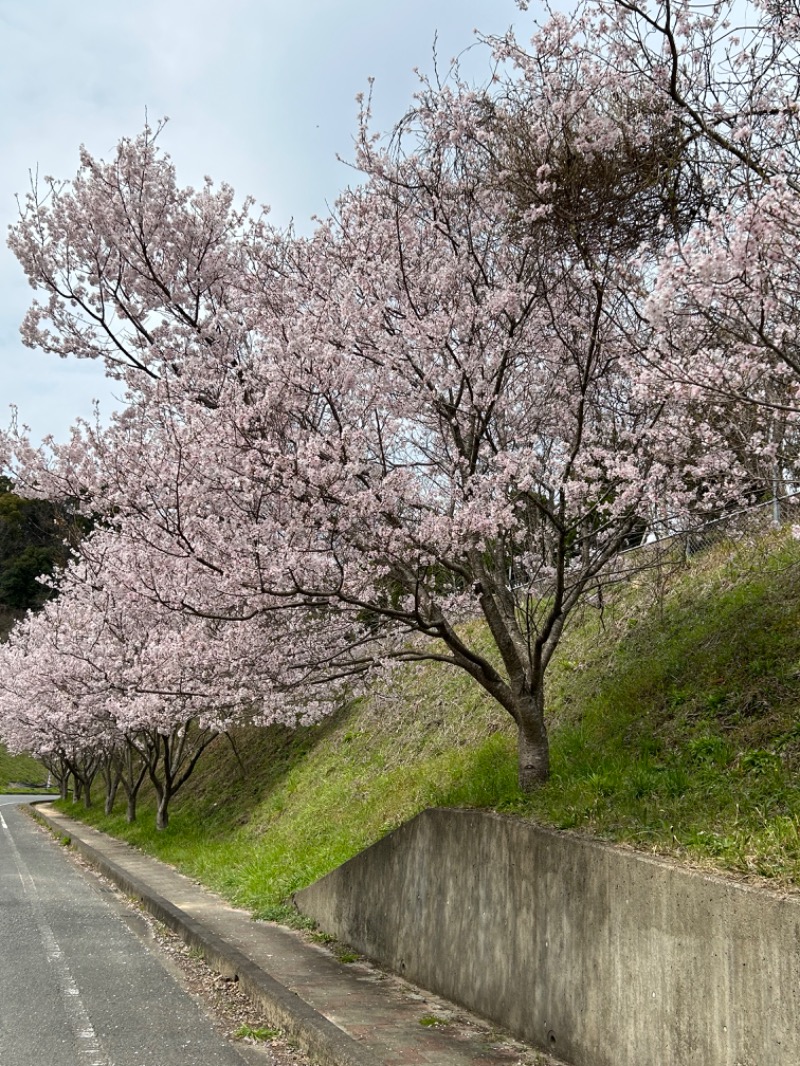 BAT64さんの筑紫野 天拝の郷のサ活写真