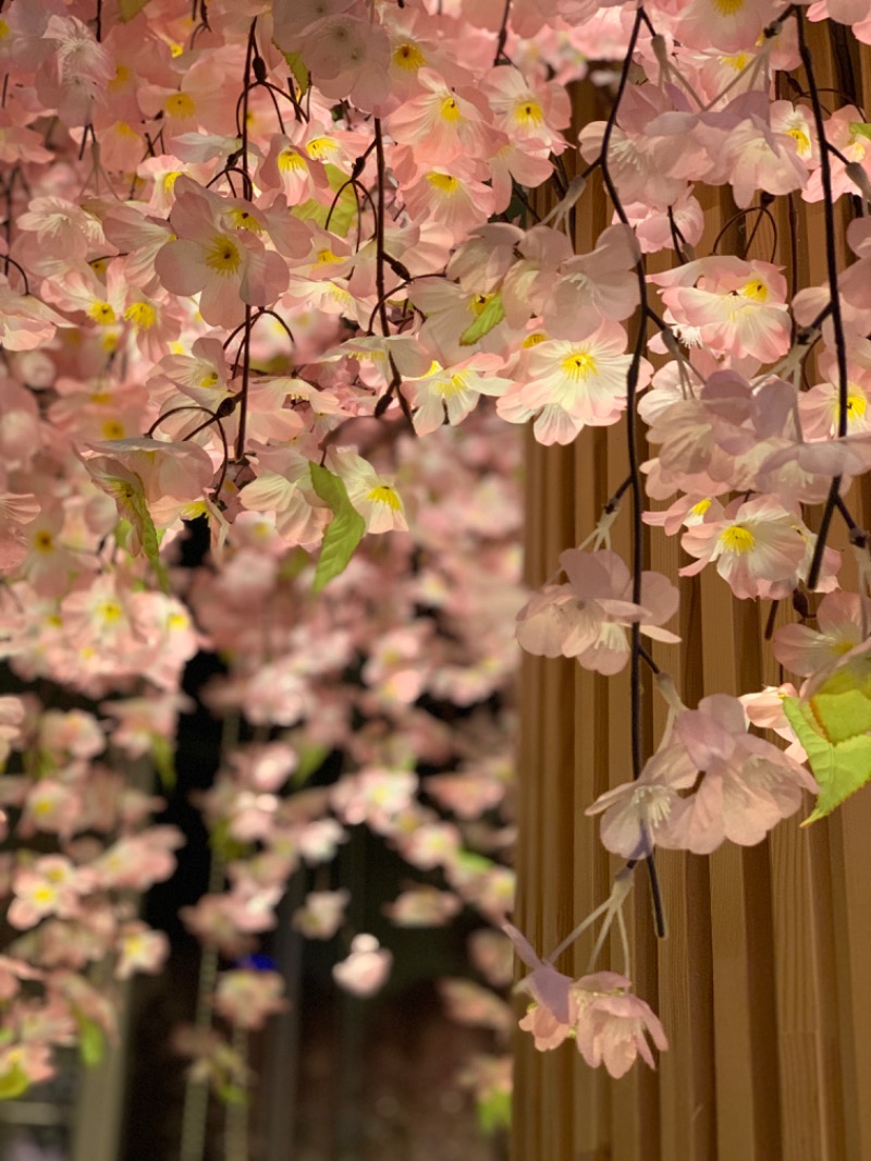 なすおさんの芦別温泉 おふろcafé 星遊館 (芦別温泉スターライトホテル)のサ活写真