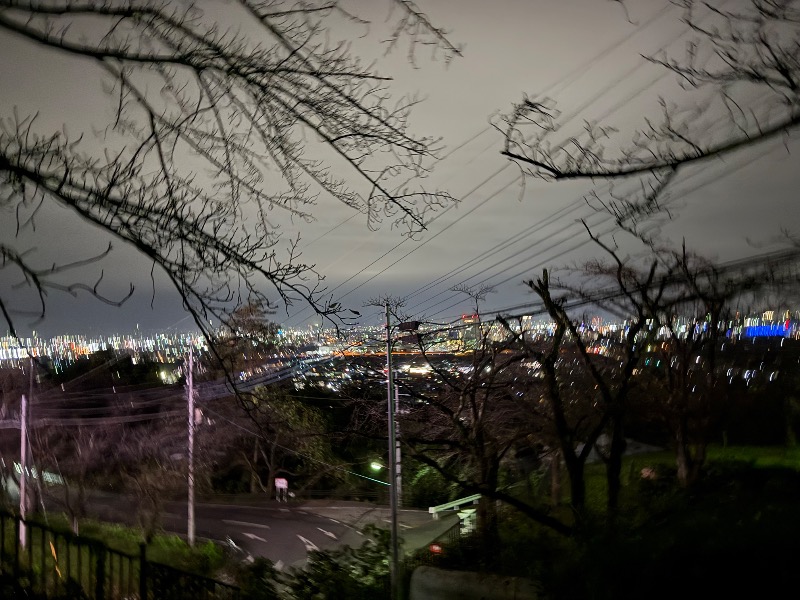 Hiroki Hashiさんの観音山サウナ蒸寺のサ活写真