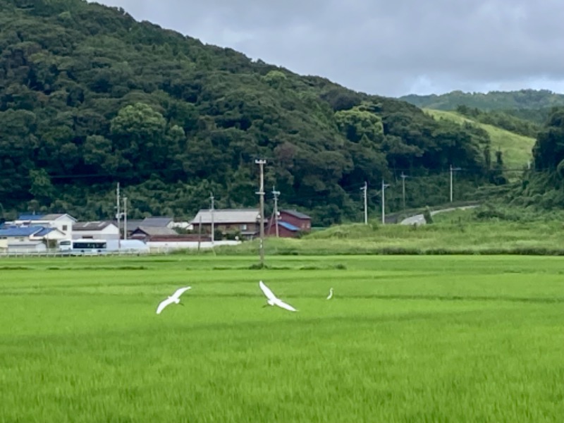 でこぽんさんの伊都の湯どころのサ活写真