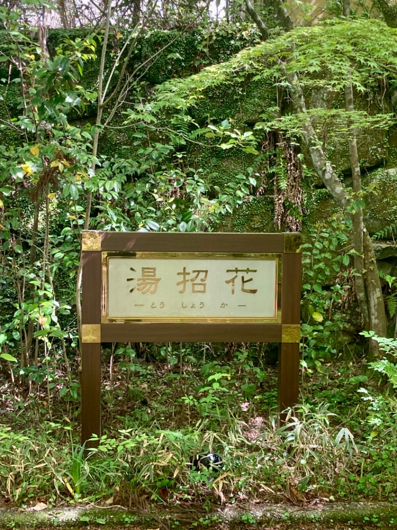 でこぽんさんの湯泉郷 温泉館 湯招花のサ活写真