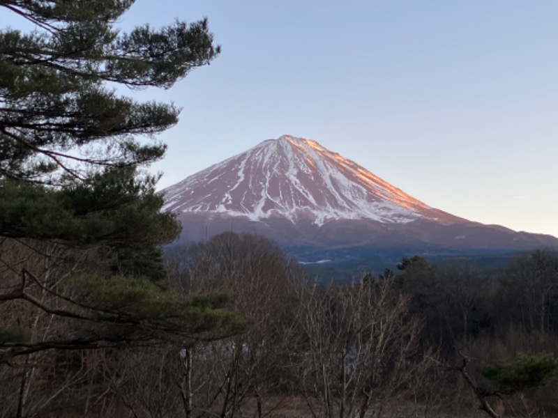 Pochidaさんの富士眺望の湯 ゆらりのサ活写真