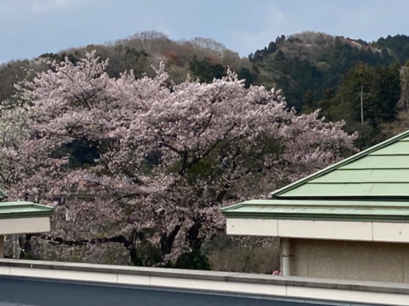 しらどんさんの城里町健康増進施設 ホロルの湯のサ活写真