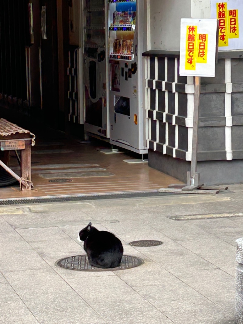 熊原さんの日奈久温泉センター ばんぺい湯&本湯のサ活写真