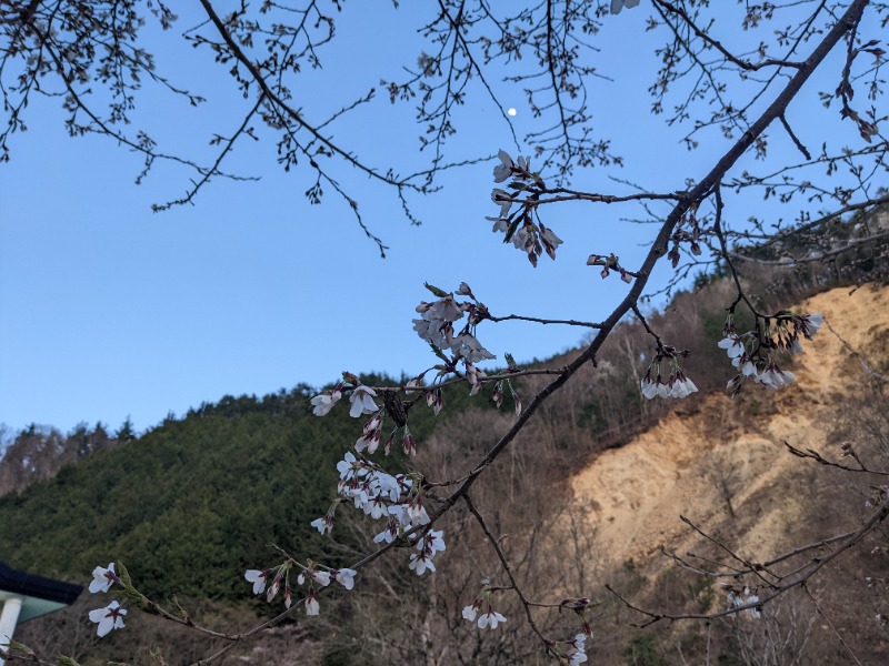 粗塩さんの飛騨高山 自家源泉の湯 臥龍の郷のサ活写真