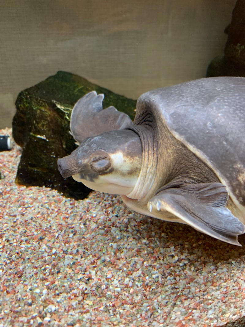 やや☆ぱぱさんの松本湯のサ活写真