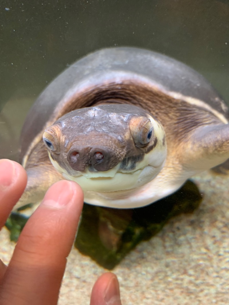 やや☆ぱぱさんの松本湯のサ活写真