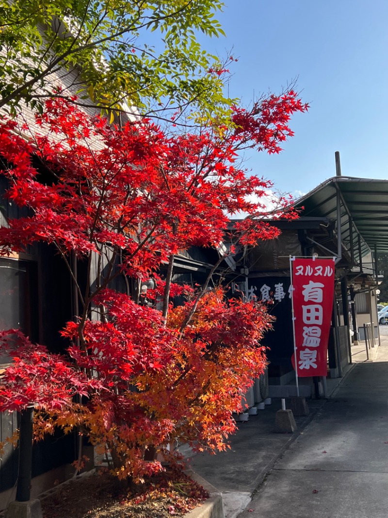 恍惚さんさんのヌルヌル有田温泉のサ活写真