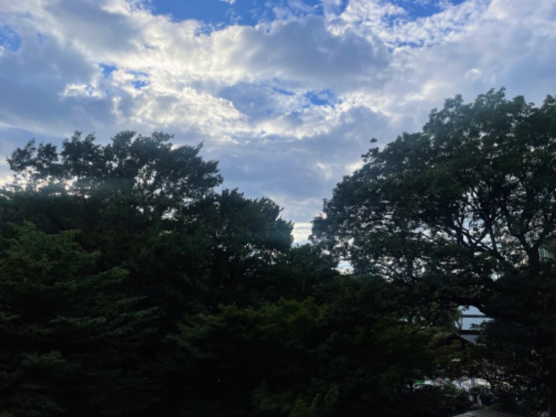 らぶりさんの豊島園 庭の湯のサ活写真