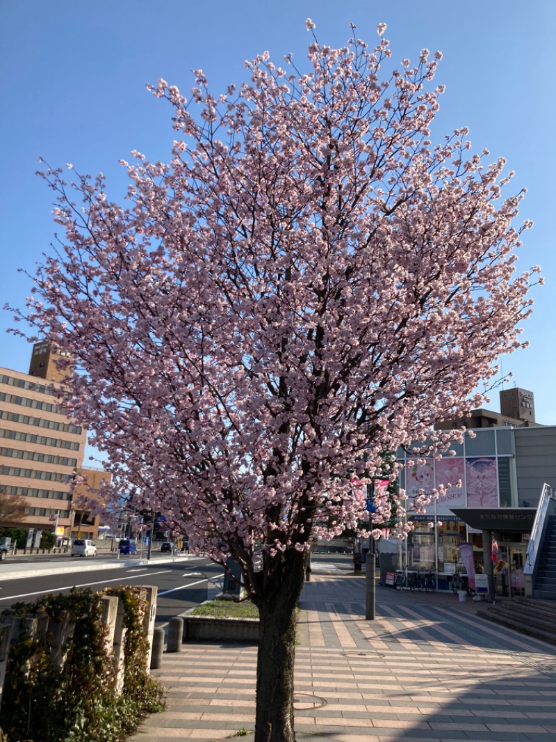 蒸し煮干しさんの御所温泉のサ活写真