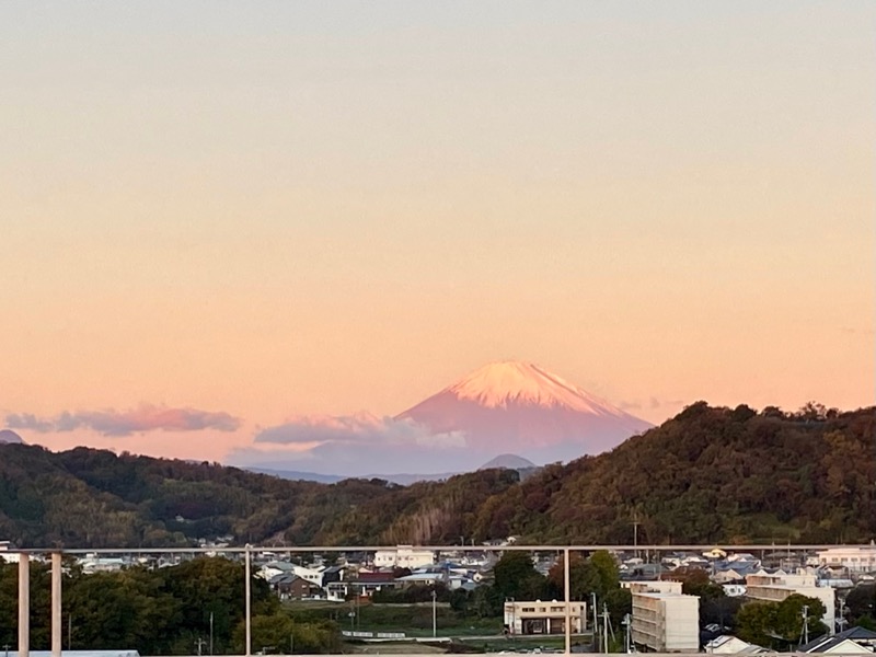 ヨヨギンさんの大磯プリンスホテル THERMAL SPA S.WAVEのサ活写真