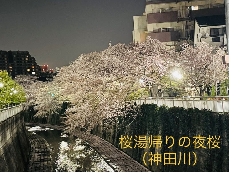 まねきさんの桜湯(さくら湯)のサ活写真