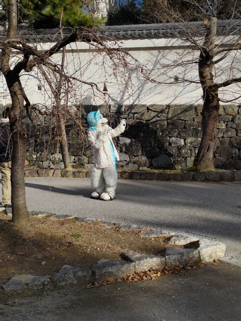 オオサカン・サウナーさんの大垣サウナのサ活写真