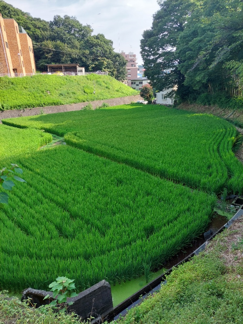 えんちさんの名水はだの富士見の湯のサ活写真