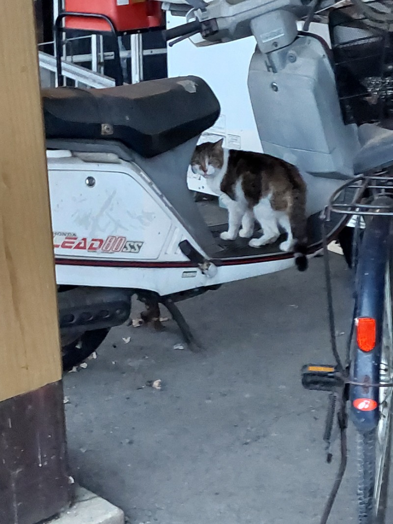 えんちさんのうたたねカフェ さくらの湯のサ活写真