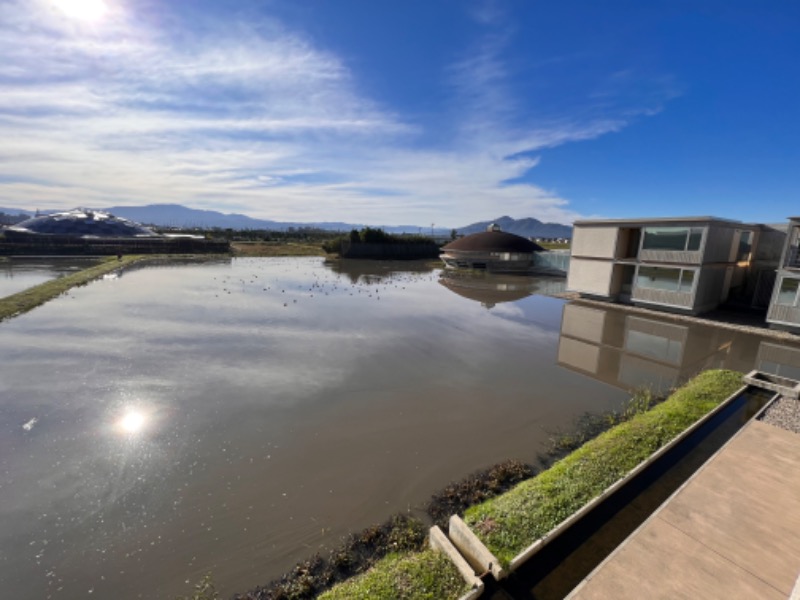 サドウに感謝さんのSHONAI HOTEL SUIDEN TERRASSE / スイデンテラスのサ活写真