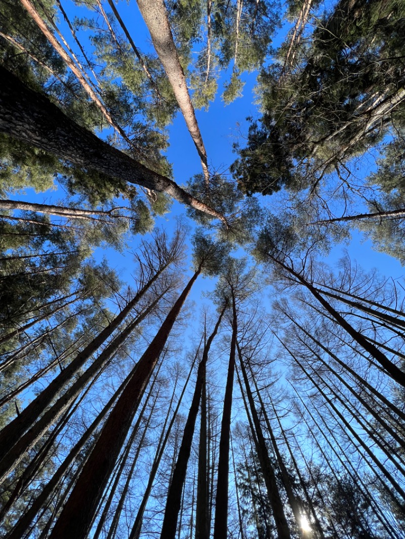 サドウに感謝さんのFOLKWOOD SAUNAのサ活写真