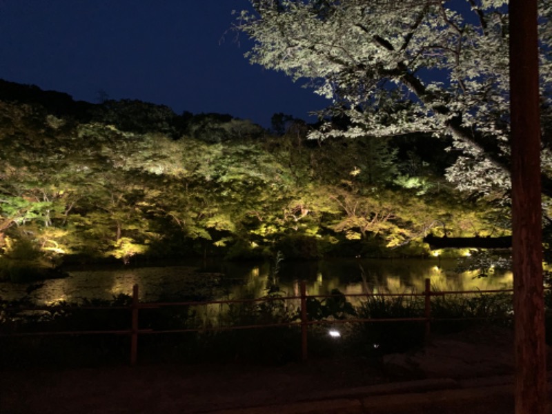 Tamaさんの御船山楽園ホテル  らかんの湯のサ活写真