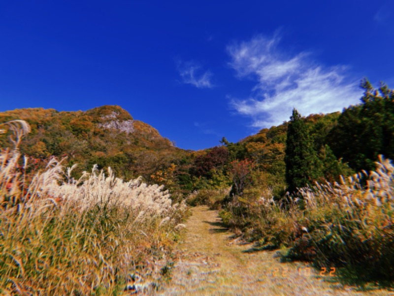 にゃぴたろうさんの花笠温泉 ふくの湯のサ活写真