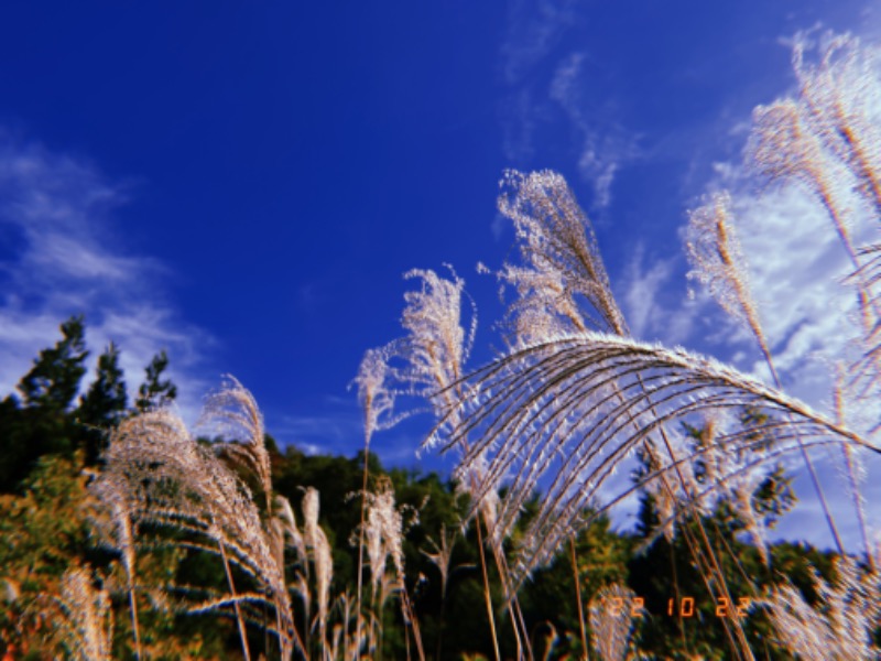 にゃぴたろうさんの花笠温泉 ふくの湯のサ活写真