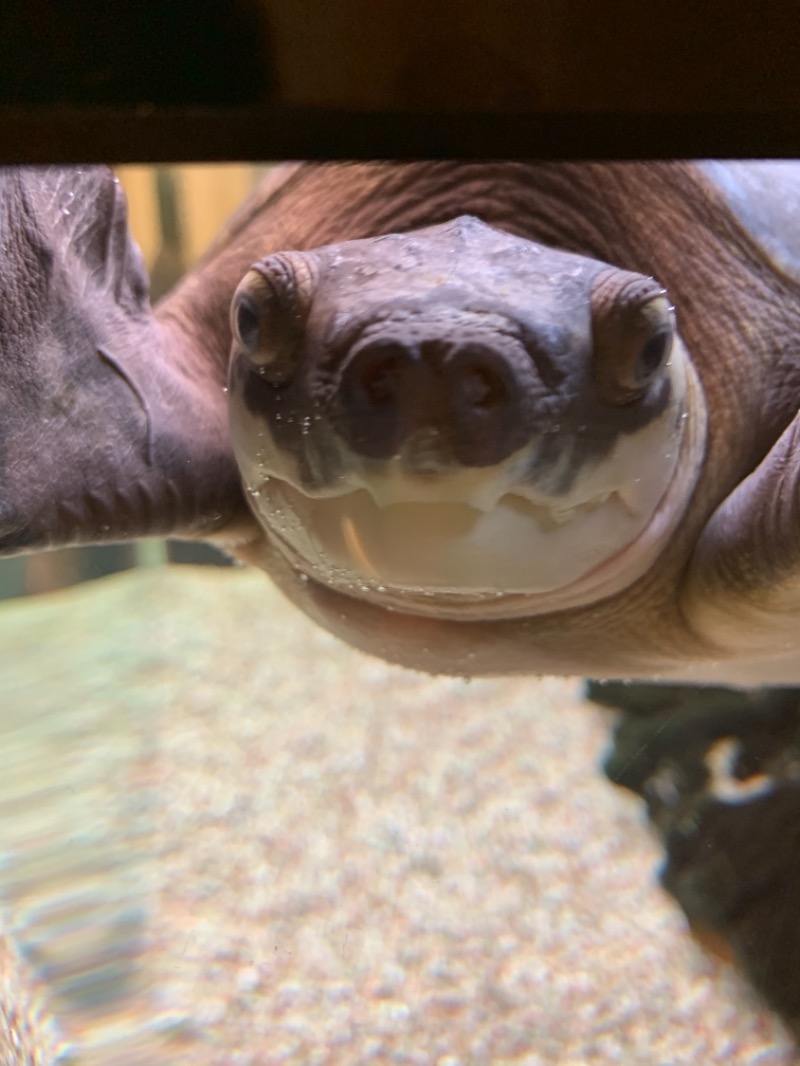 デカマーラ・崎さんの松本湯のサ活写真