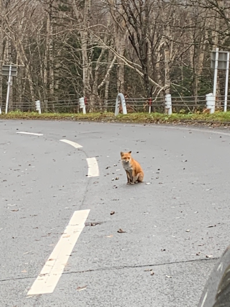 ひげおじさんの吹上温泉保養センター 白銀荘のサ活写真