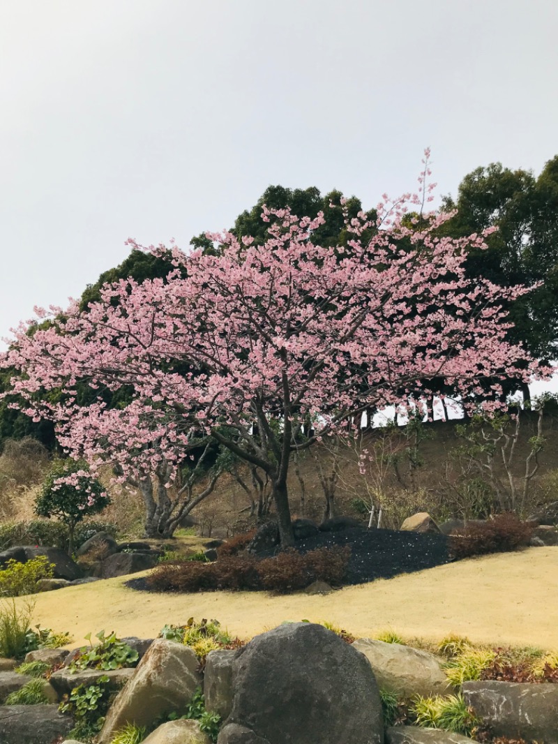 焼け石にアロマ水さんのひばり湯のサ活写真