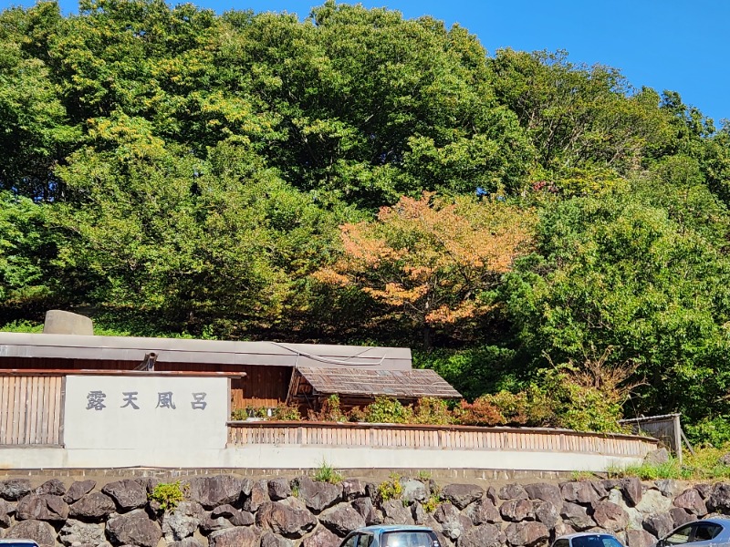 大文字サウナクラブ幹事長さんの清風荘のサ活写真