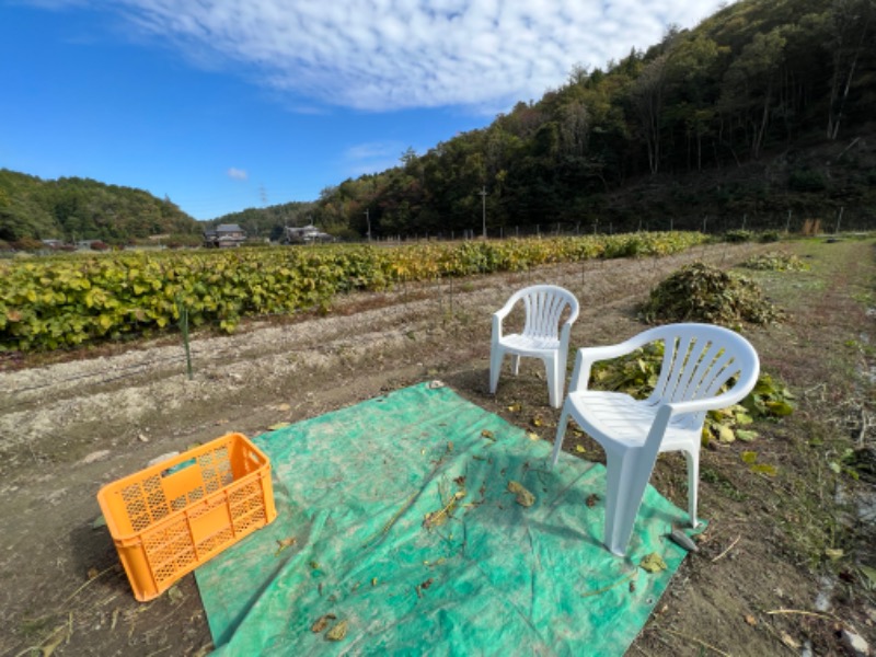 じゃむさんの山城温泉のサ活写真