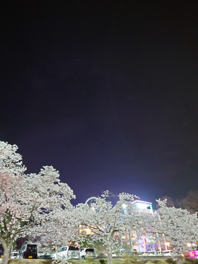 フラリーマンサウナーさんのさがみ湖温泉 うるりのサ活写真