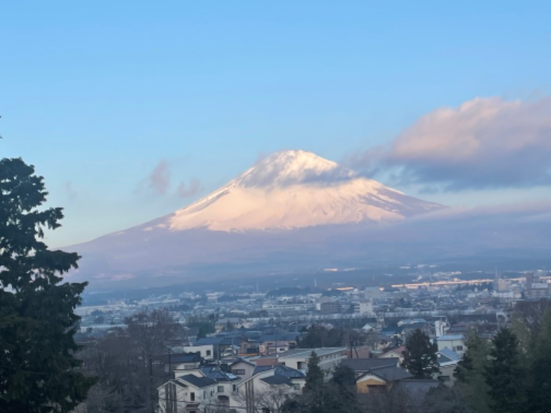 あおこさんの天然温泉 富士桜の湯 ドーミーインEXPRESS富士山御殿場のサ活写真