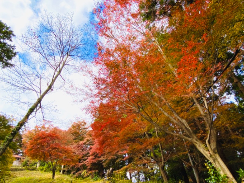 おかゆさんの竜泉寺の湯 八王子みなみ野店のサ活写真