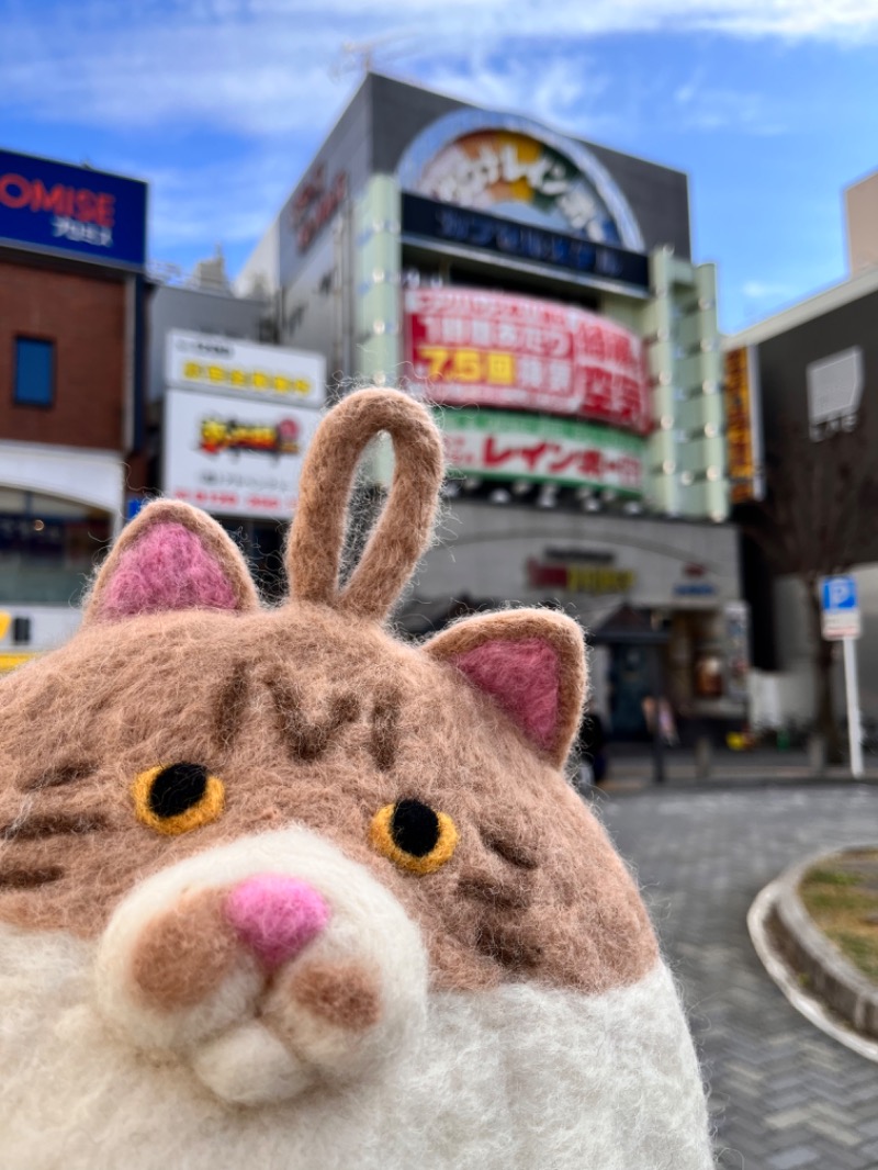 もとニャワタ サウニャ〜さんのサウナ&カプセルホテルレインボー本八幡店のサ活写真