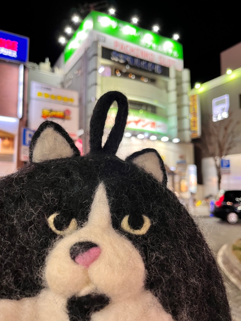 もとニャワタ サウニャ〜さんのサウナ&カプセルホテルレインボー本八幡店のサ活写真