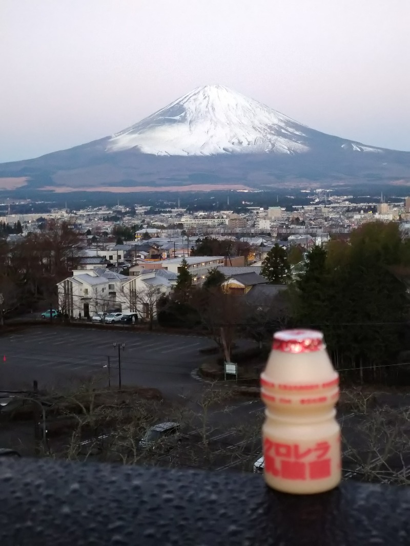 jinsさんの天然温泉 富士桜の湯 ドーミーインEXPRESS富士山御殿場のサ活写真