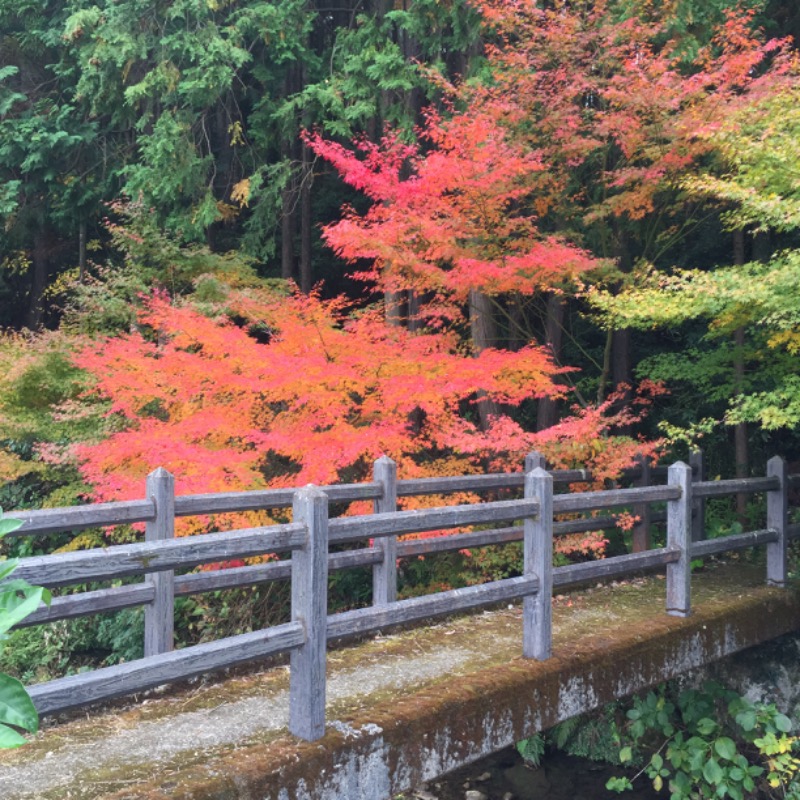 Ryohey!!さんの天山多久温泉(天山 多久温泉 TAQUA)のサ活写真