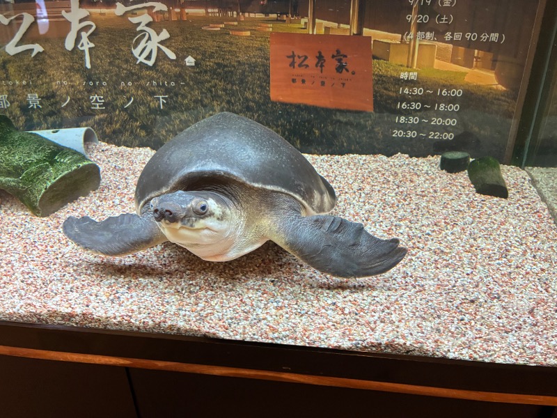 sauna teleportationさんの松本湯のサ活写真