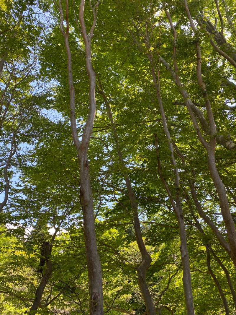 スアレスさんのグランピングtoサウナ箱根のサ活写真