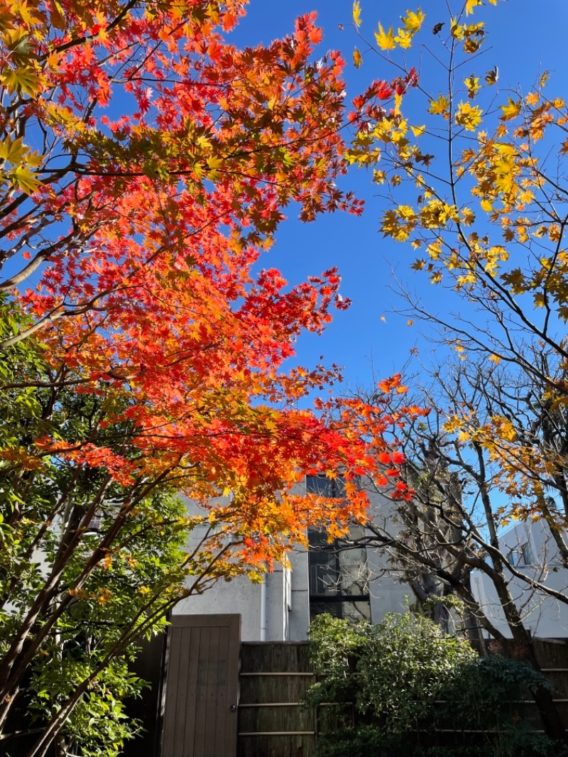 蒸しきのこさんの東京染井温泉 SAKURAのサ活写真