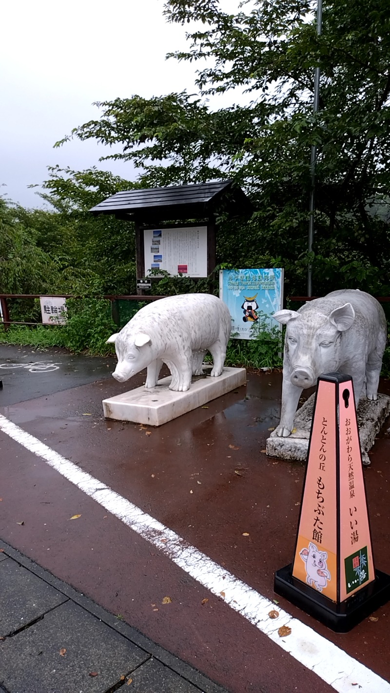 mitsuさんのおおがわら天然温泉 いい湯のサ活写真