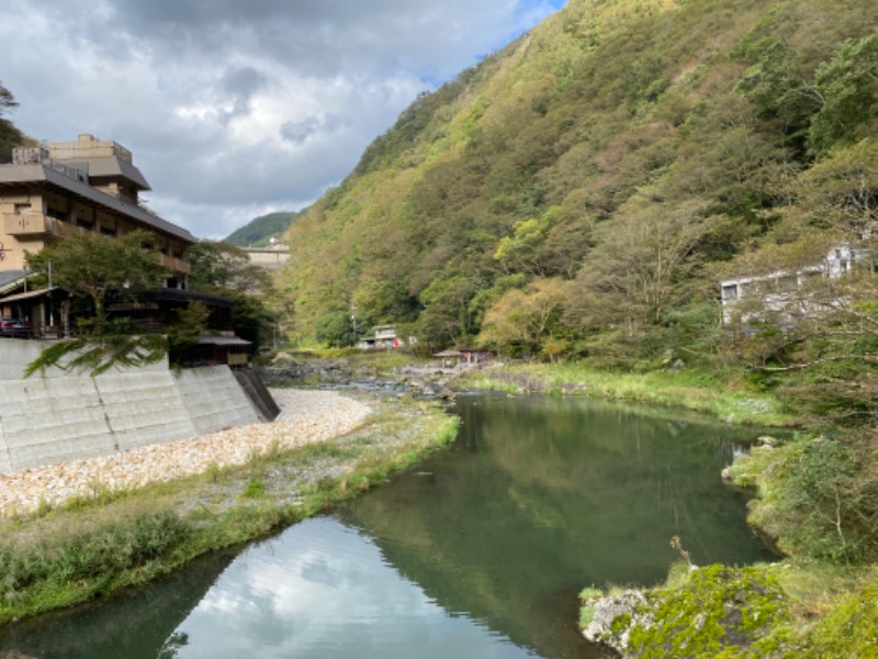 ミーのカーさんの湯原ふれあい交流センター 湯本温泉館のサ活写真