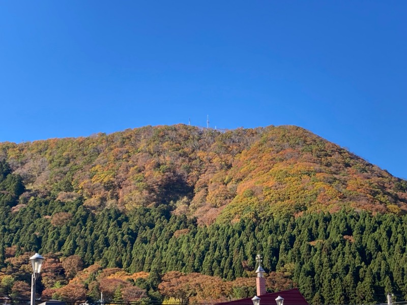 ダービーワールドさんの谷地頭温泉のサ活写真