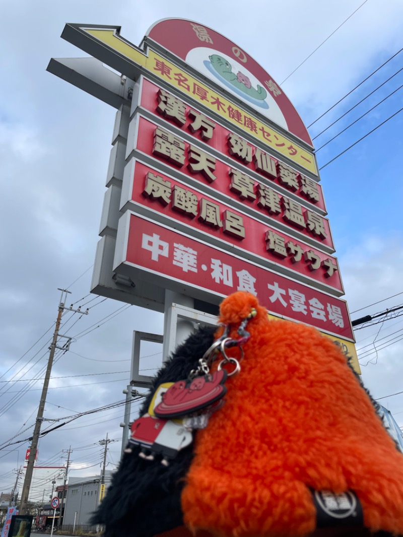 てっつー529さんの湯の泉 東名厚木健康センターのサ活写真