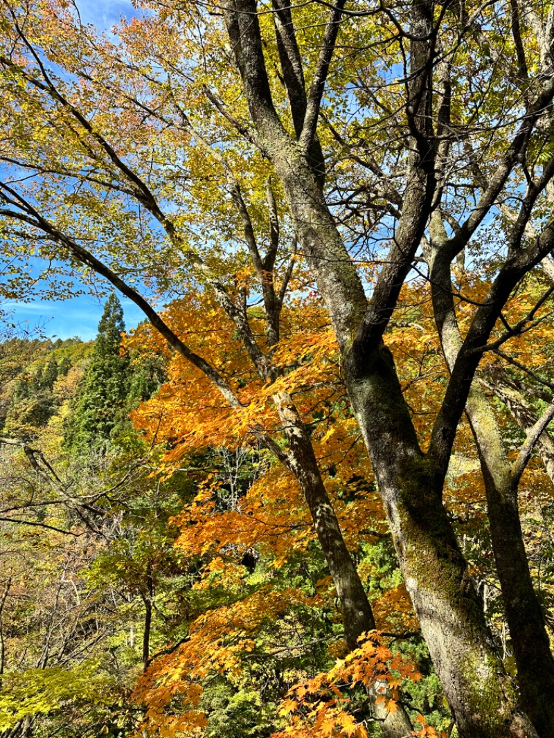 すけきよさんの高繁旅館のサ活写真