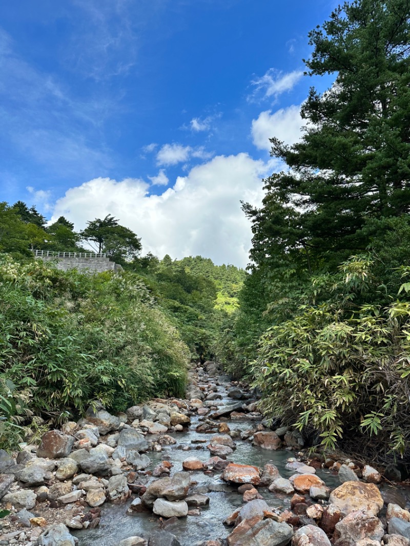 すけきよさんの玉川温泉のサ活写真