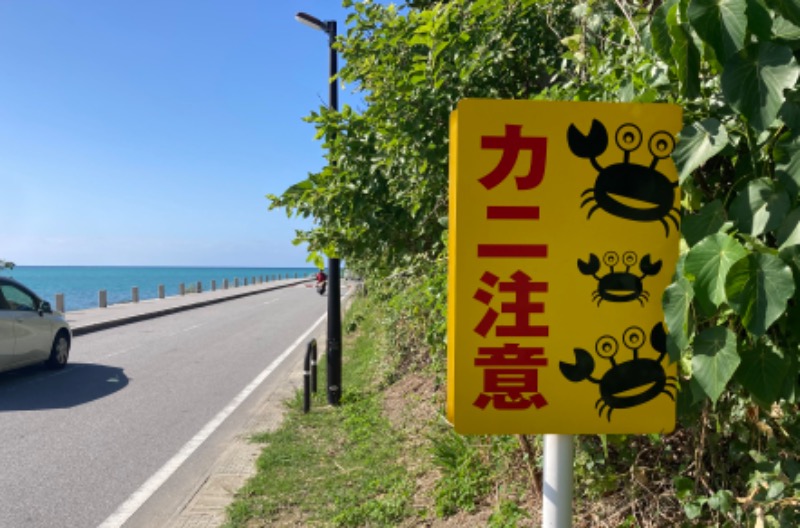 yellow fightさんの琉球温泉 龍神の湯のサ活写真