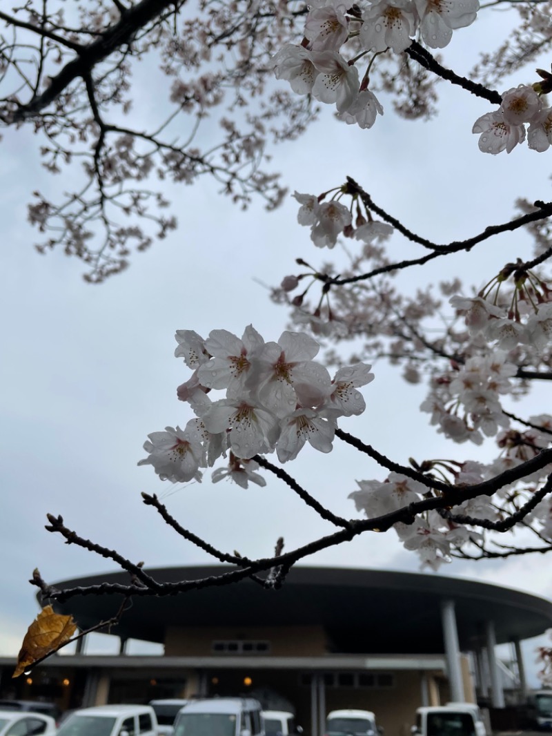 SHUさんの筑紫野 天拝の郷のサ活写真